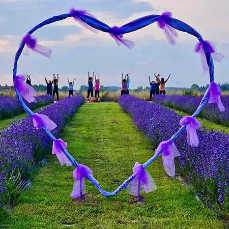 בית חווה Chicche Di Lavanda