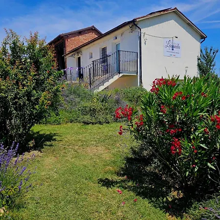 Chicche Di Lavanda *